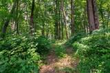 LOT 56 High Summit Drive - Photo 9
