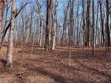 0 Burnt Mtn Cove Road - Photo 4