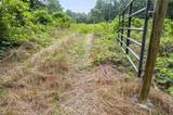 104 Martin Cemetary Road - Photo 16