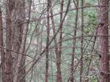 3 AC East New Hope Road - Photo 12