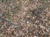 3 AC East New Hope Road - Photo 30