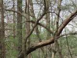 3 AC East New Hope Road - Photo 33