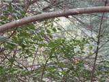 3 AC East New Hope Road - Photo 41