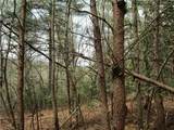 3 AC East New Hope Road - Photo 52