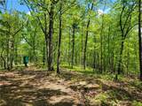 0 Hightower Falls Road - Photo 9