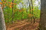 4033 Hidden Hollow Drive - Photo 9
