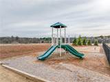 148 Harmony Farms Orchard - Photo 4