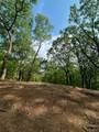324 Adair Drive - Photo 6