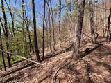 0 Sassafras Court - Photo 10