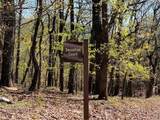 0 Sassafras Court - Photo 11