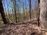 0 Sassafras Court - Photo 2