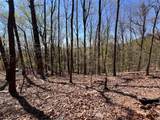 0 Sassafras Court - Photo 3