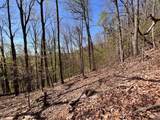 0 Sassafras Court - Photo 4