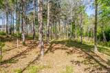 126 Falls Lane - Photo 4