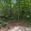 1261 Mclynn Avenue - Photo 4