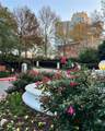 2840 Peachtree Road - Photo 2