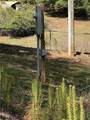 5495 Shady Grove Rd - Photo 3