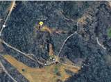 221 Muscadine Road - Photo 71