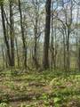 7180 Ridgeview Drive - Photo 4