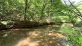 25 Mountain Creek Trail - Photo 4