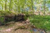 2513 Carleton Gold Road - Photo 41