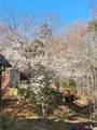 1156 Winborn Trail - Photo 77