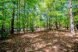 203 Ole Hickory Trail - Photo 92