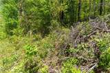 0 Fire Tower Road - Photo 6