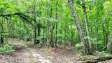 Trt A Cascade Drive - Photo 12