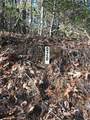 20 Goldmine Drive - Photo 20