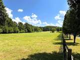 3746 Maple Grove Church Road - Photo 11