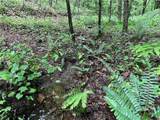 1720 Rebekah Ridge Road - Photo 2