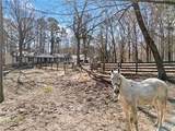 428 Dogwood Drive - Photo 4