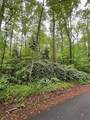 410 Dogwood Drive - Photo 4