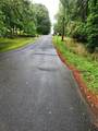23 Country Lane - Photo 4