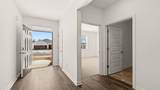 8563 Secretariat Drive - Photo 5