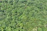 7.89 Ac Laurel Springs Road - Photo 13