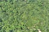 7.89 Ac Laurel Springs Road - Photo 14