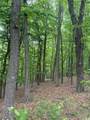 Lot 38 Mountainside Drive - Photo 15