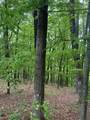 Lot 38 Mountainside Drive - Photo 16
