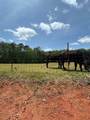 766 Bethany Road - Photo 5