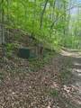 9.8 AC Brown Mountain Road - Photo 10