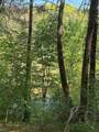 9.8 AC Brown Mountain Road - Photo 5