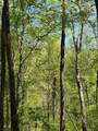 9.8 AC Brown Mountain Road - Photo 6