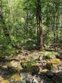 9.8 AC Brown Mountain Road - Photo 8