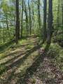 9.8 AC Brown Mountain Road - Photo 9