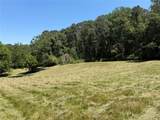 565 Avery Road - Photo 12