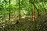0 Hwy 136 (3.12 Acres) - Photo 7