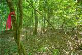 0 Hwy 136 (3.12 Acres) - Photo 9