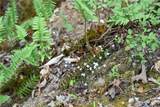 00004 Windridge Lane - Photo 10